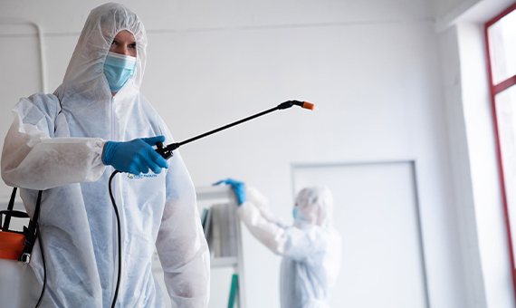 Facility management | Property management | Magyarorszag | Pest Control Services
